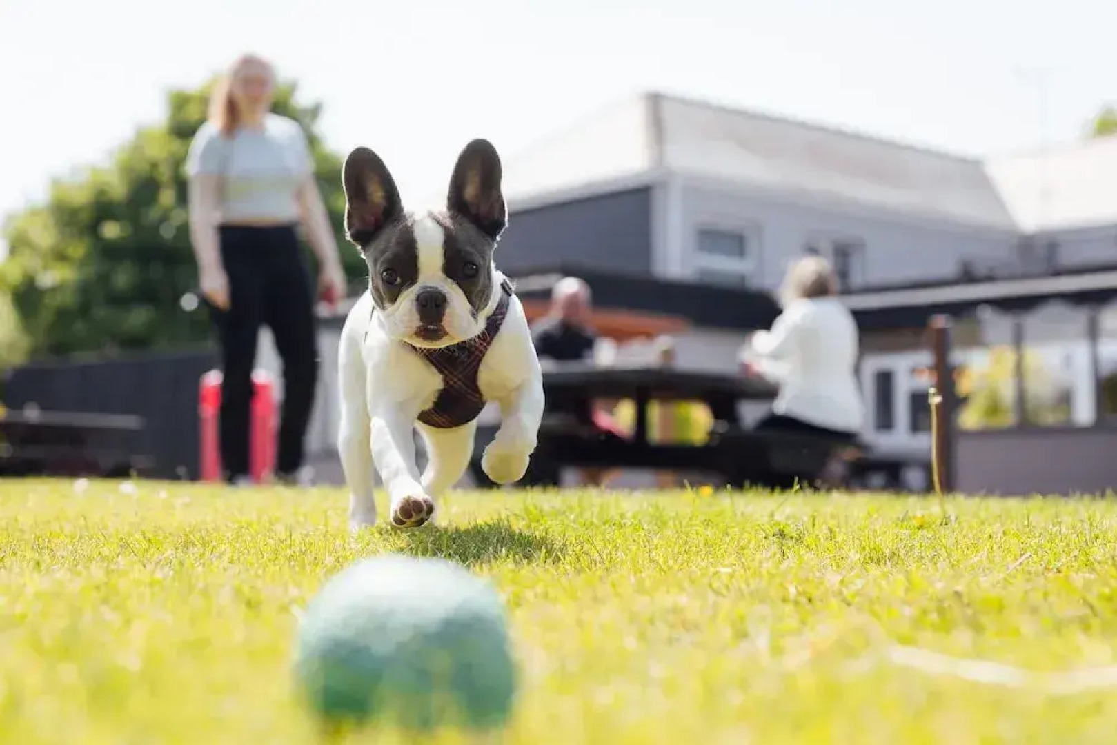 The Imperial Dragon Hotel