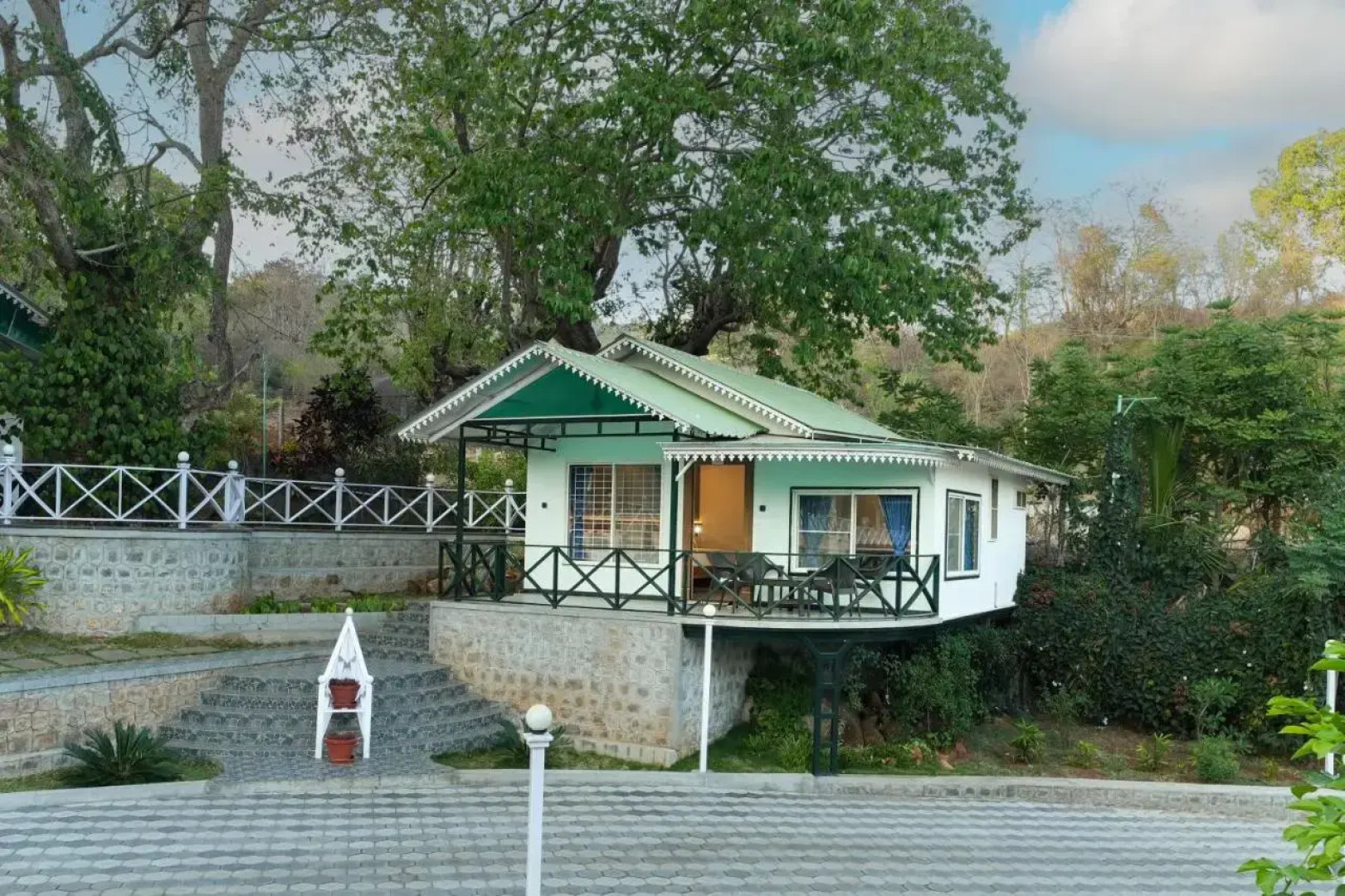 MGM Whispering Wind's Yelagiri