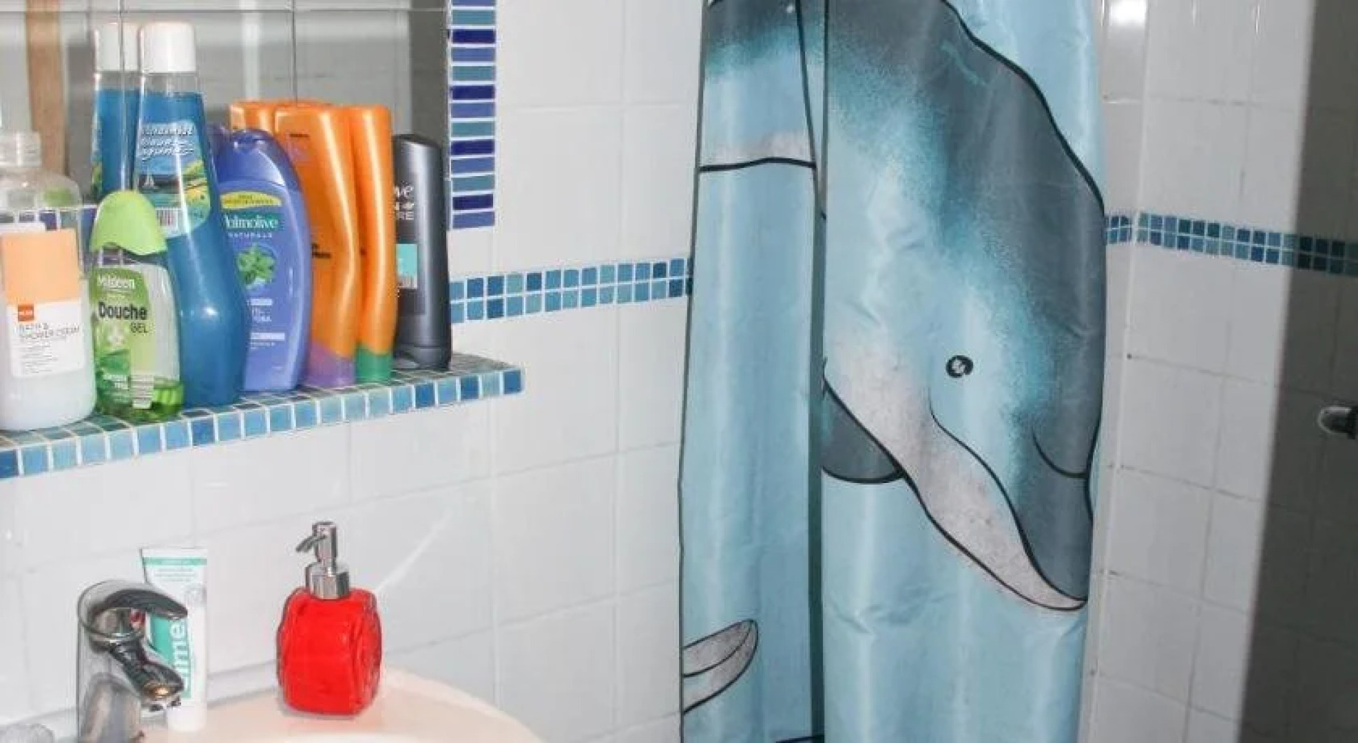 Koningin van Pieterburen