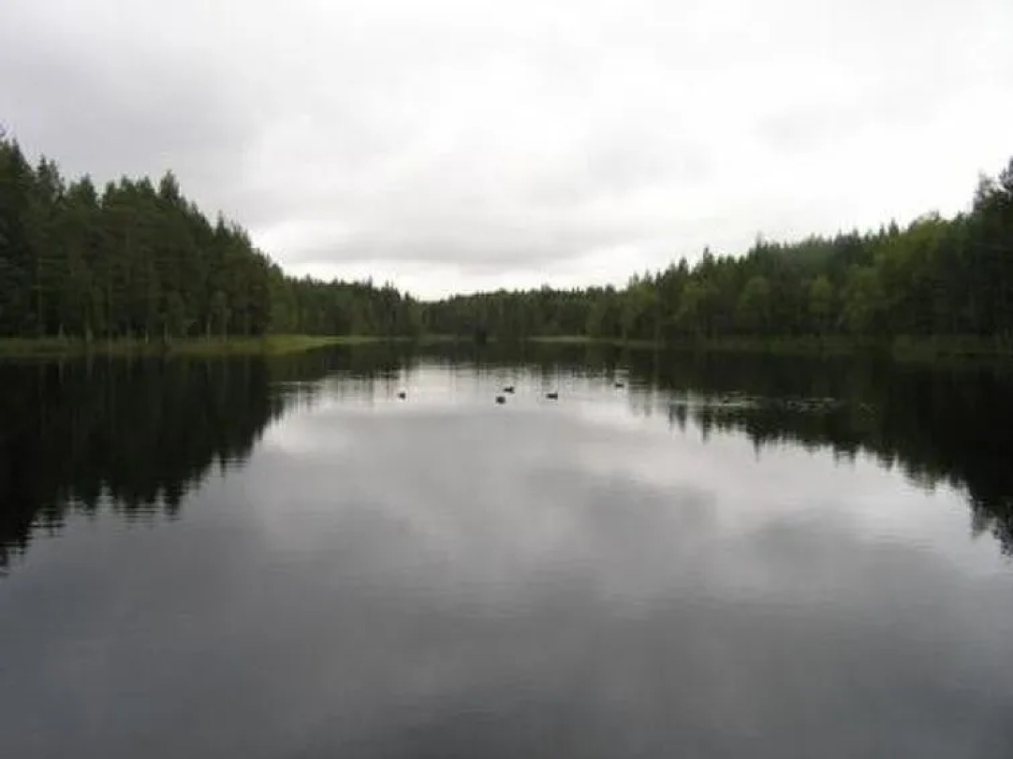 Holiday Home Savilampi