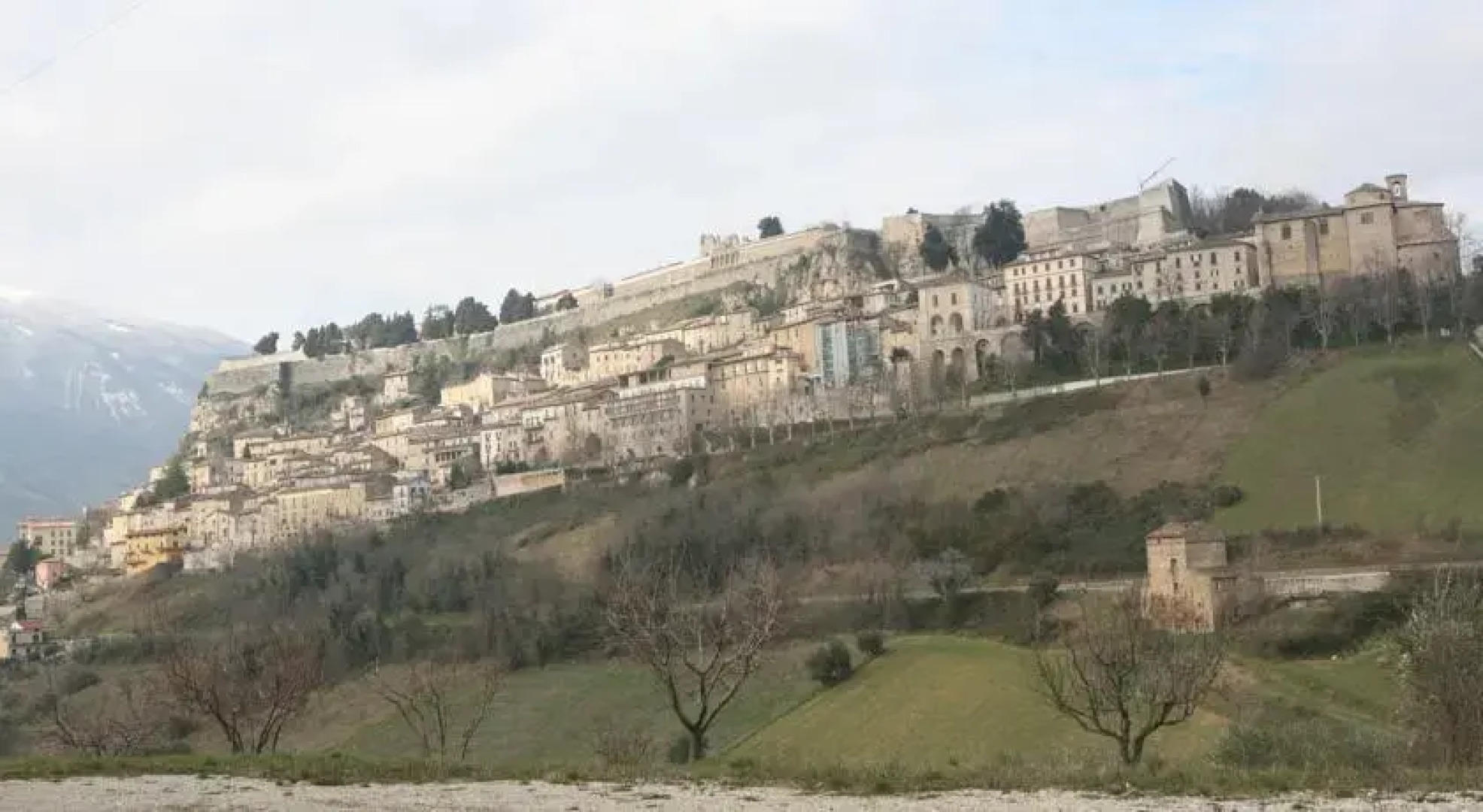 B&B La Collina Degli Ulivi