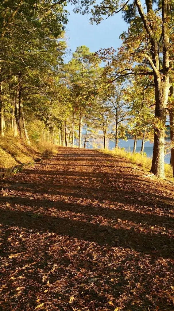 Self Creek Lodge and Marina