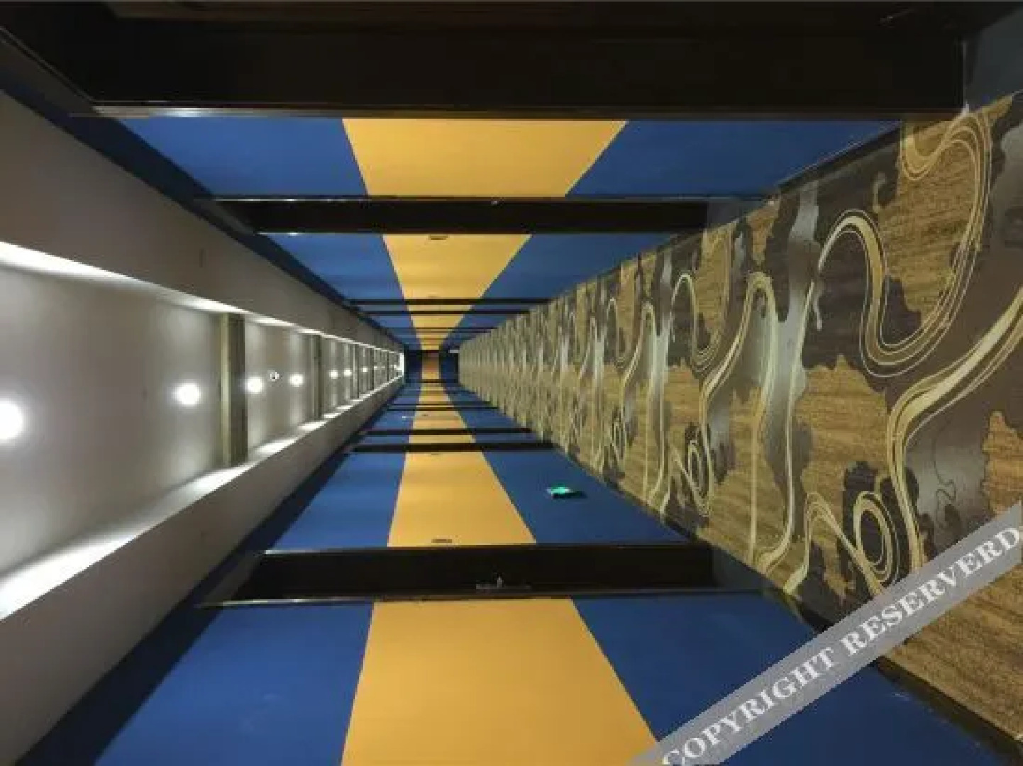 Cat Hotel (Xingguo Dongcheng International Branch)