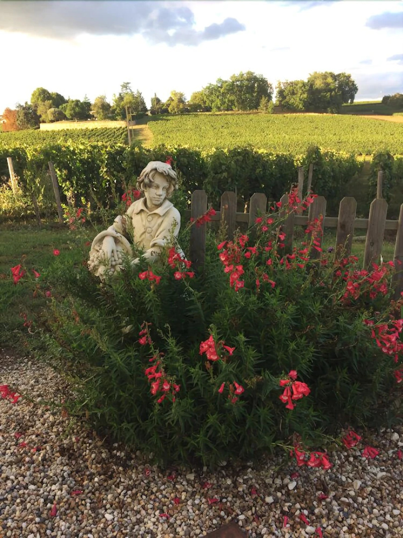 Au Charmant Des Vignes