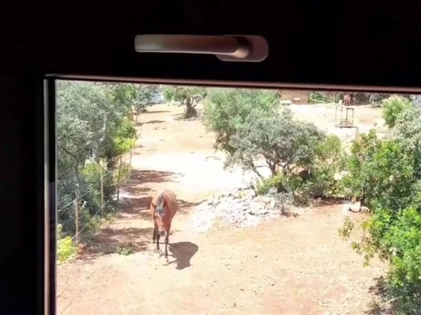 Tiny House & Horses Hébergement Atypique à Loulé