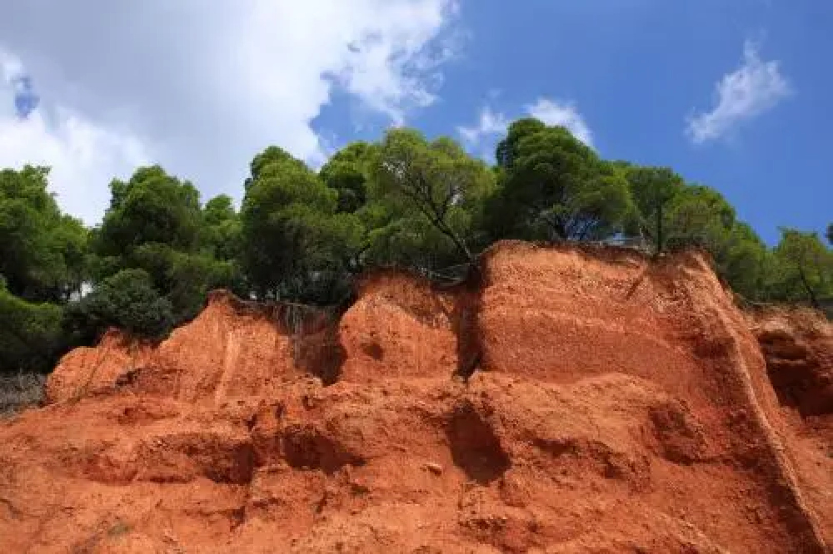 Squirrel Beach Front Villa, Metamorfosi