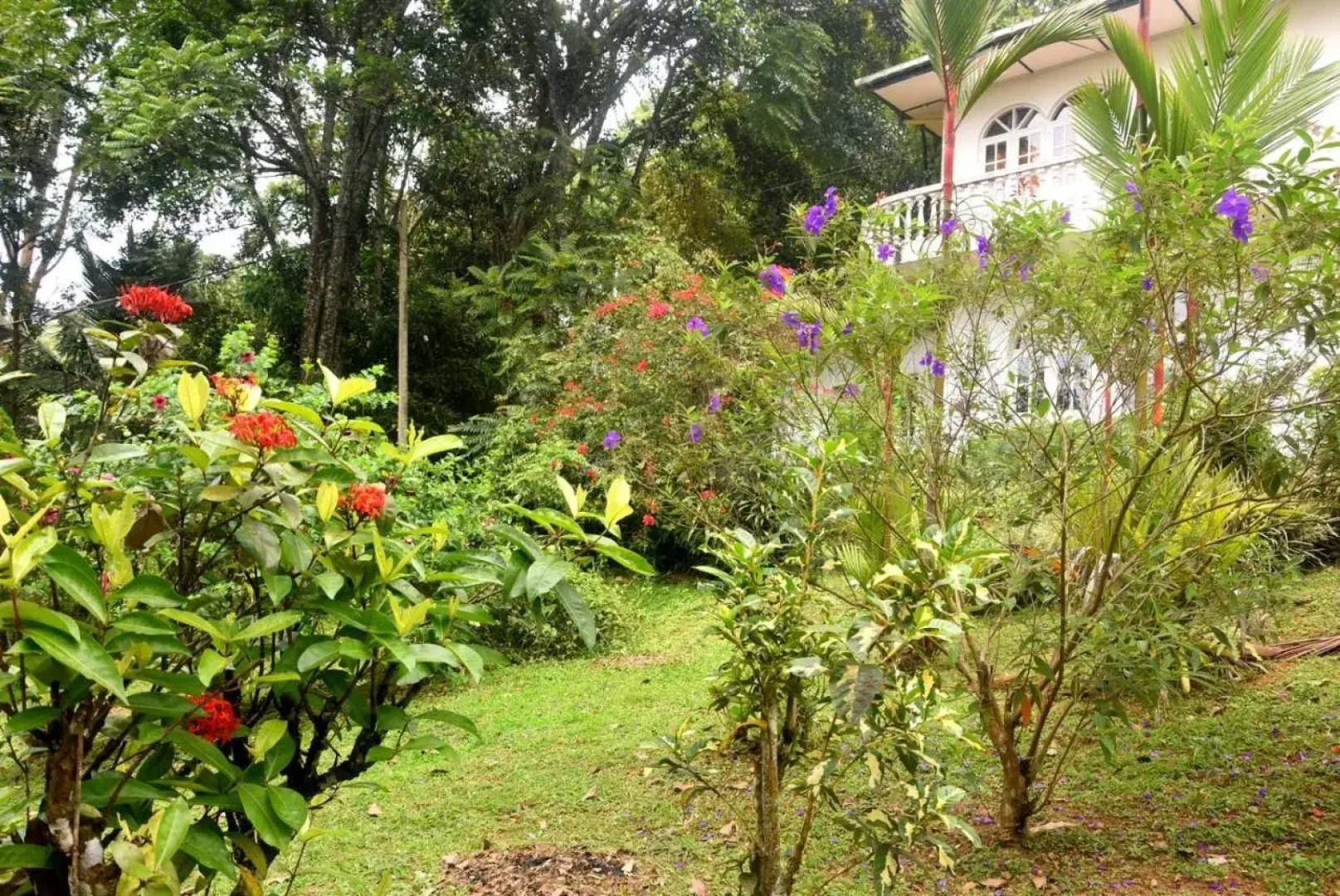 Royal Mount Hotel