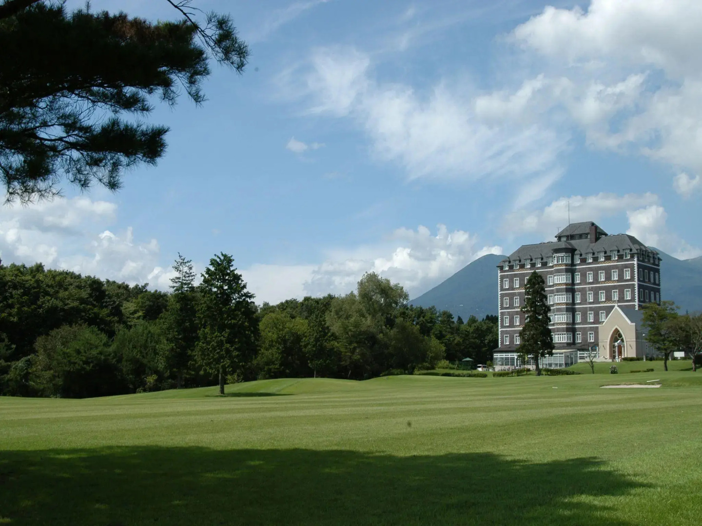 Wellness Forest NASU