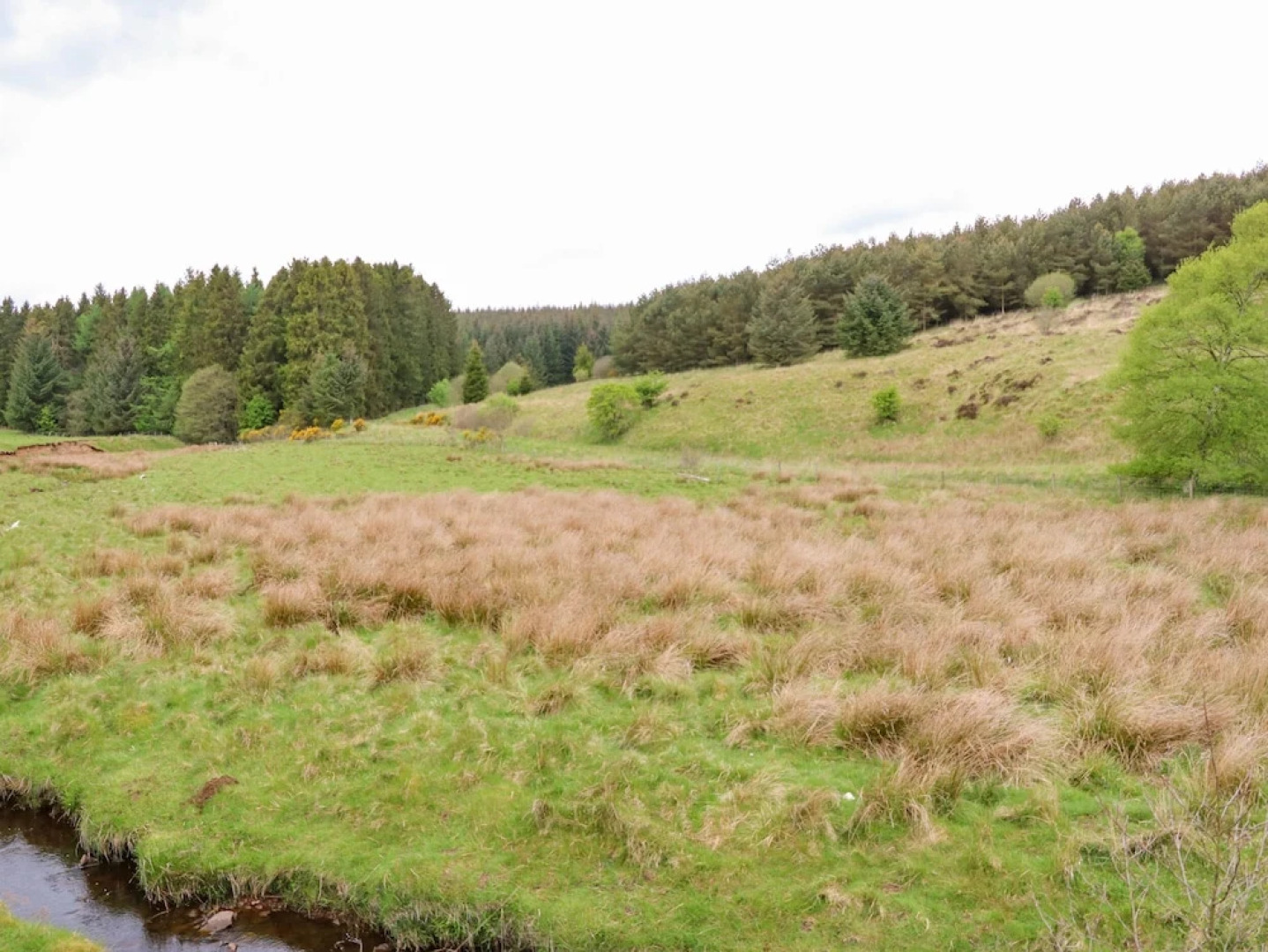 Shepherds Burn Cottage
