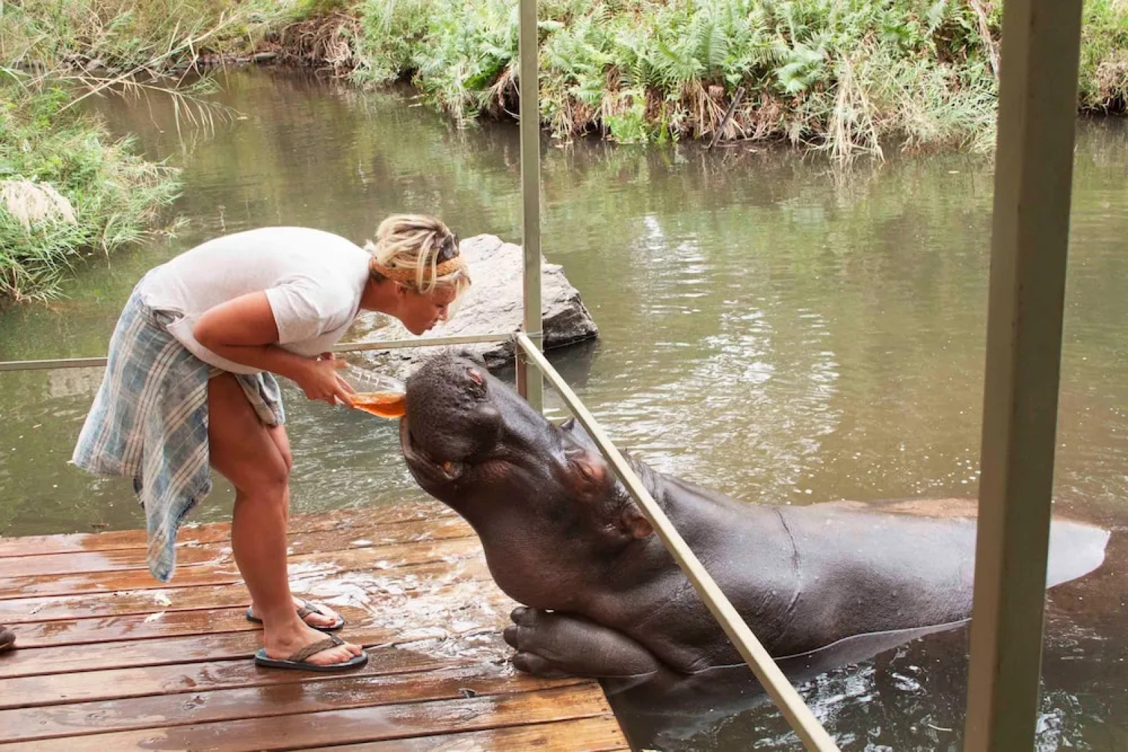 Blyde River Cabin Guesthouse