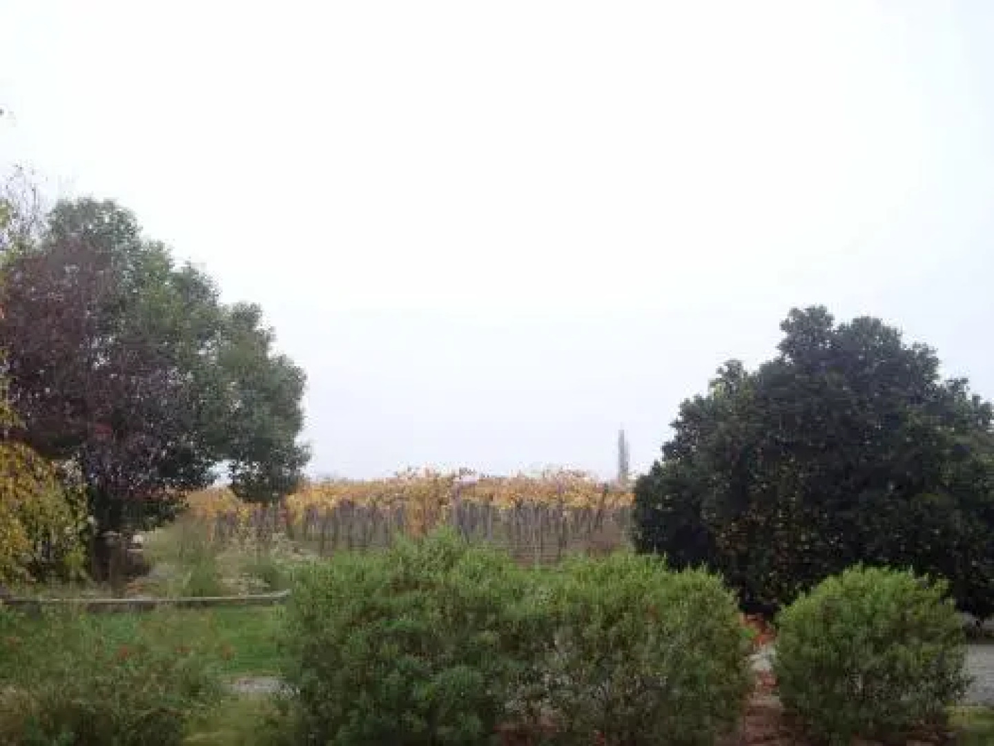 Santa Filomena de Cunaco