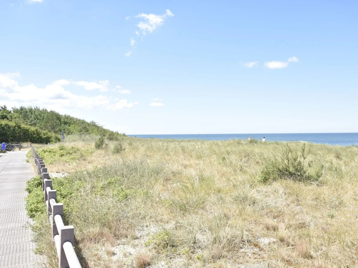 Spacious Apartment with Terrace in Dierhagen