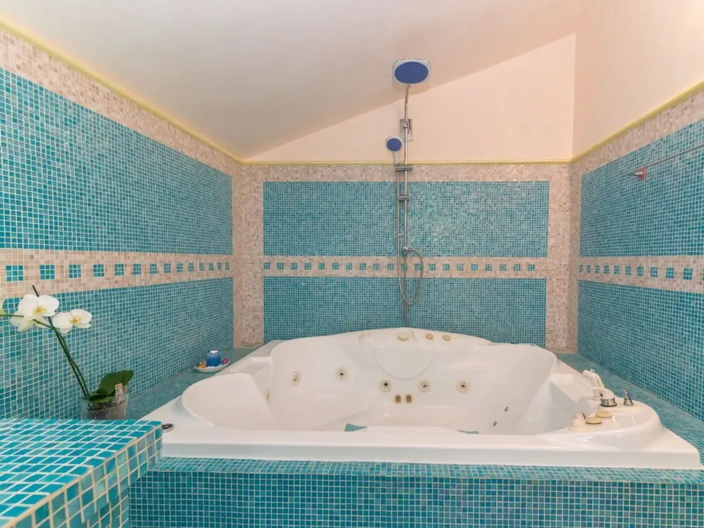 Surphinia Torre di Bari