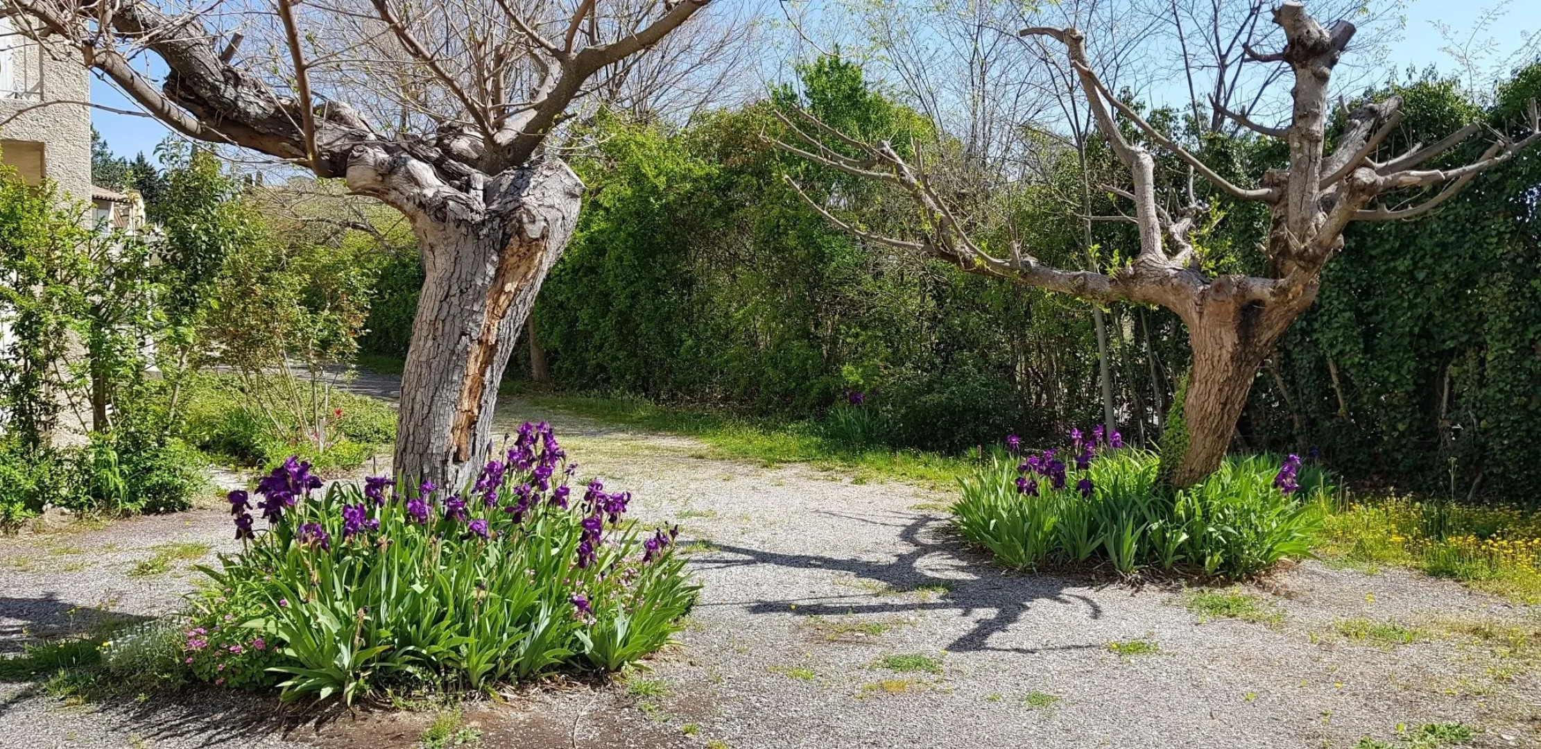 Résidence Sainte Annette
