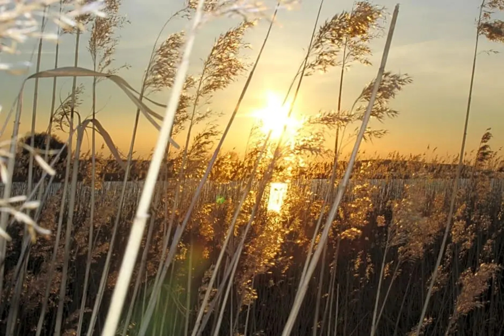 Halbinsel Peenemünde