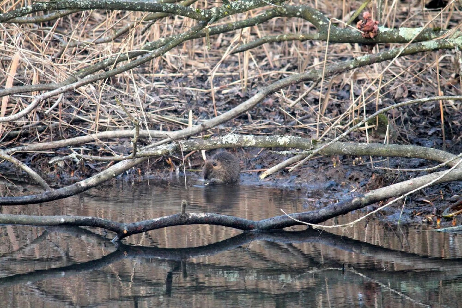 Gastehaus Carpe Diem