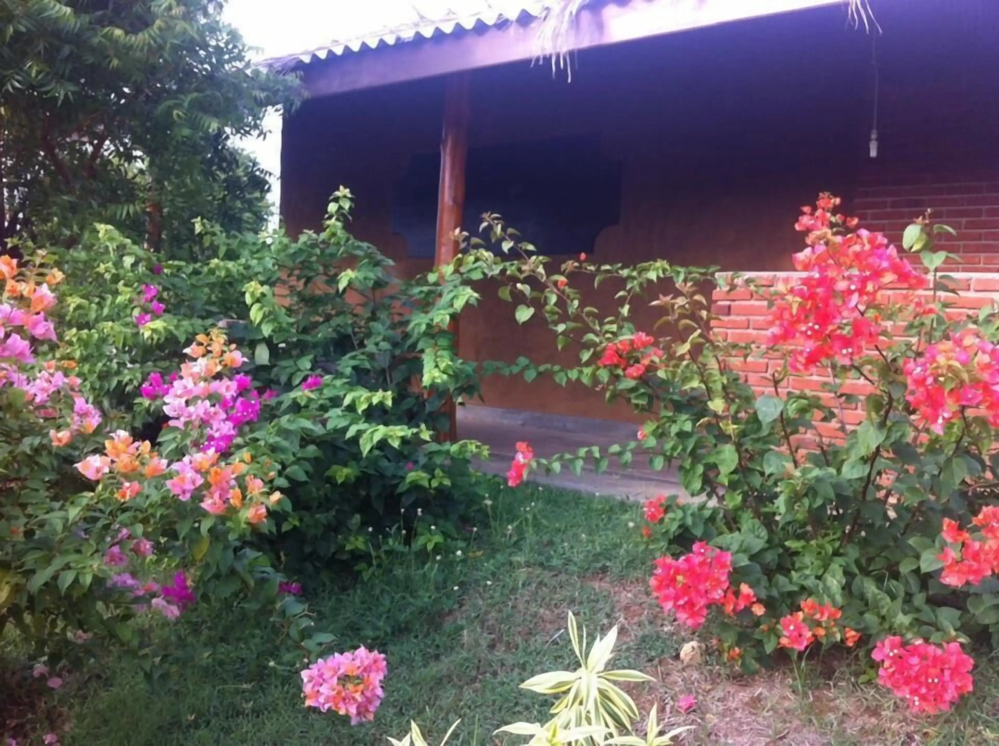 Lotus Chalets Eco Hotel