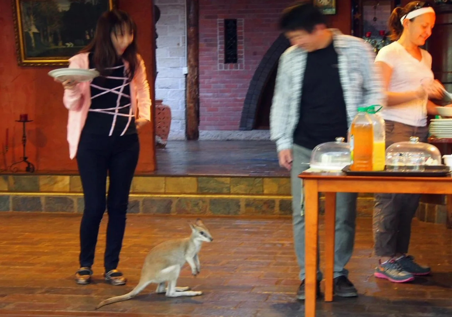 Cedar Park Rainforest Resort