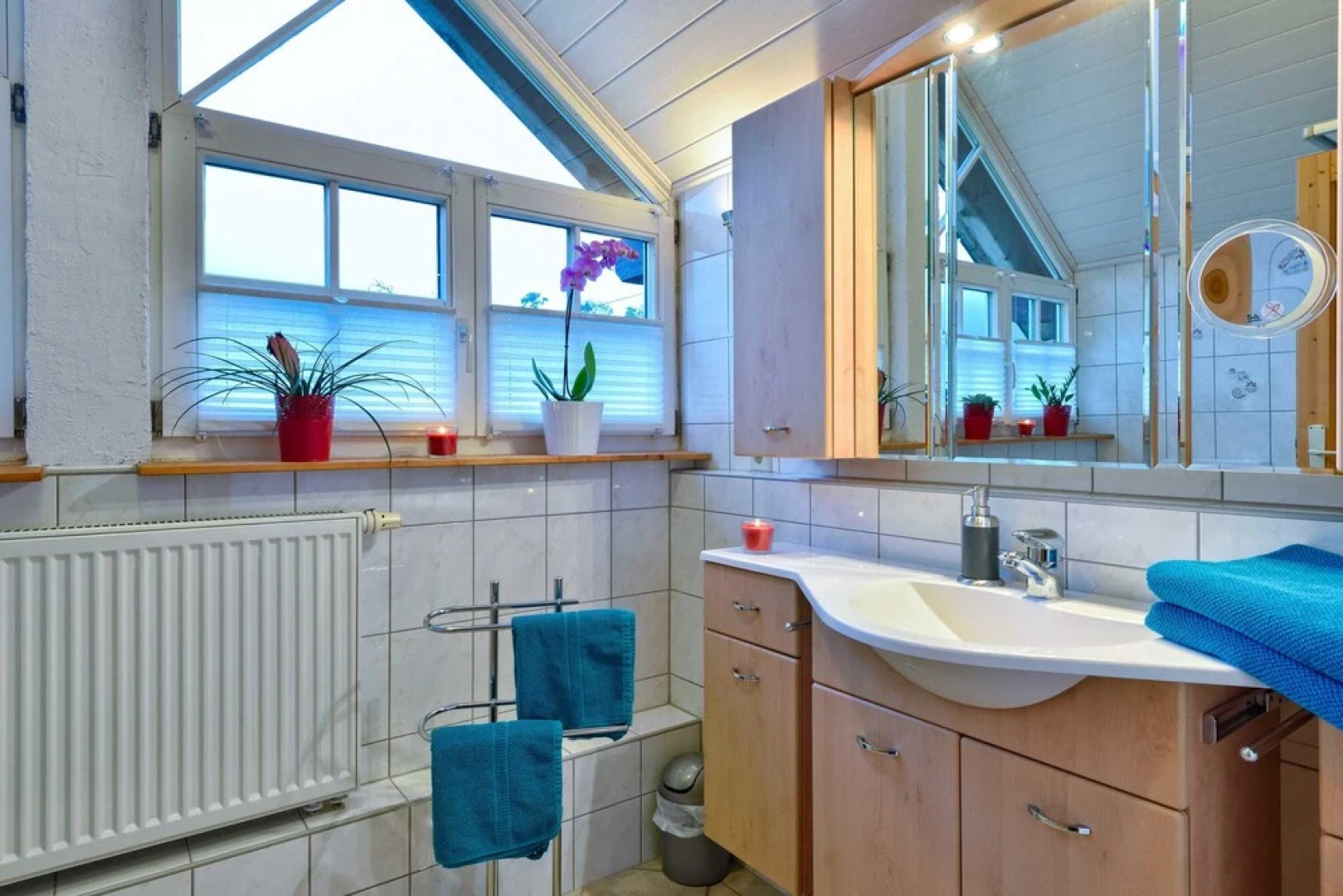 Schwarzwaldhaus Enzklösterle