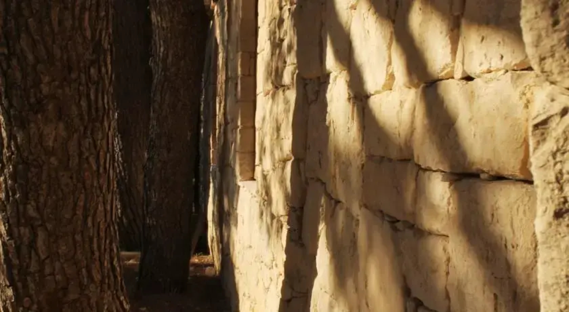Souffleur de rêves