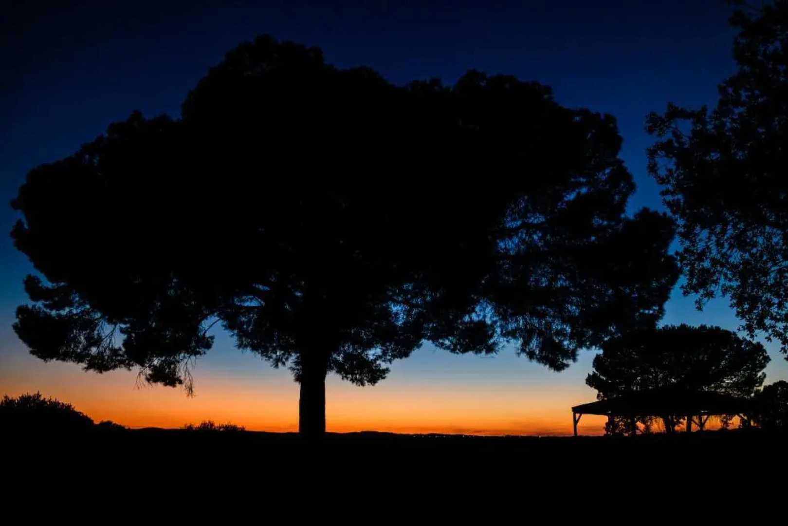 Casas Do Rio Sado - Sado River Country Retreat