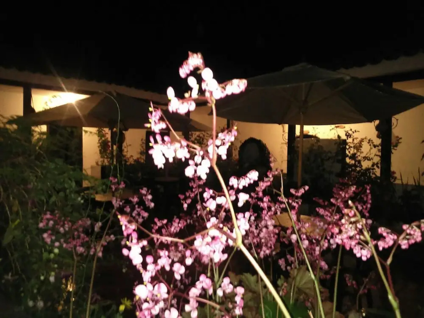 Hotel Casa del Colibrí