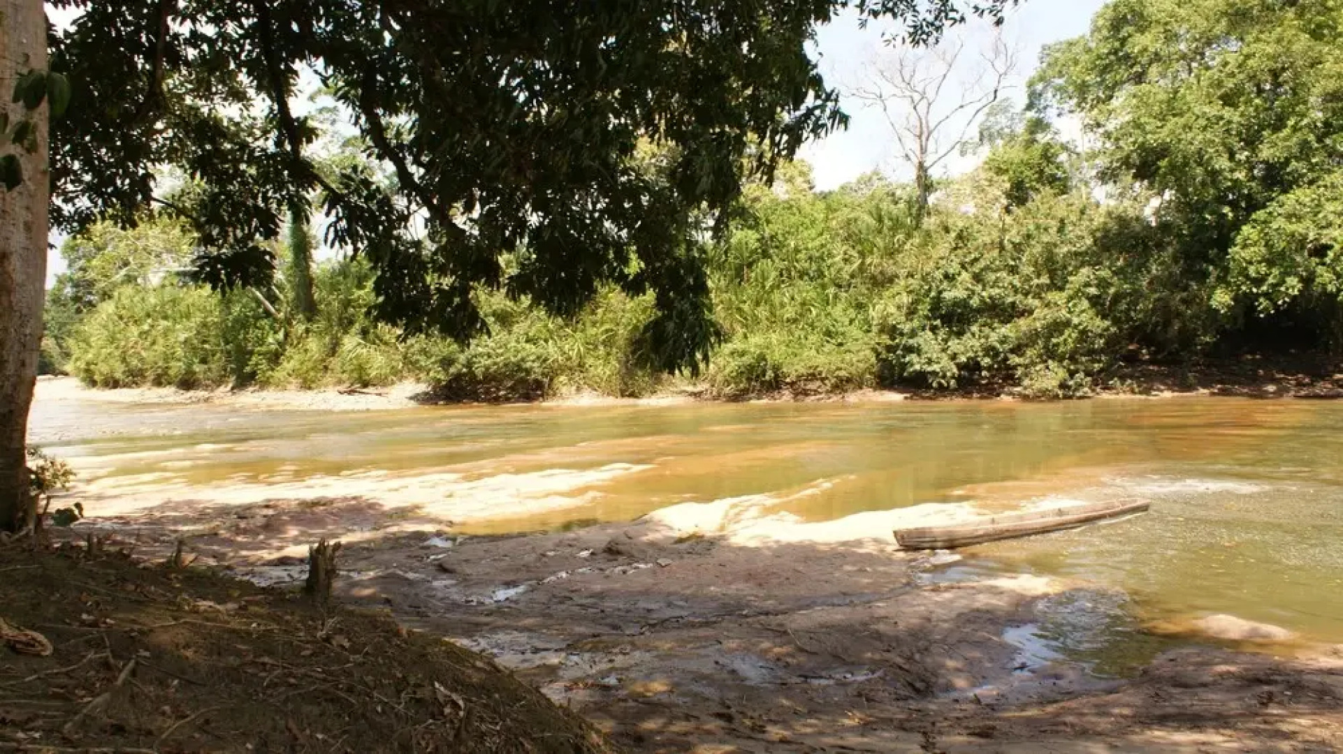 Tres Ríos Jungle Lodge