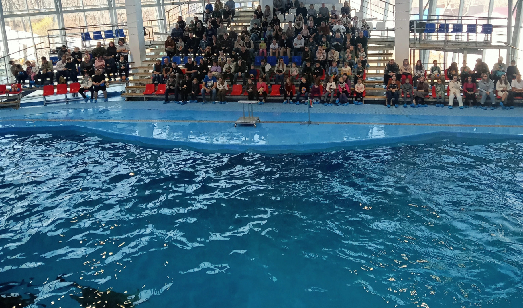 Океан (Владивосток)