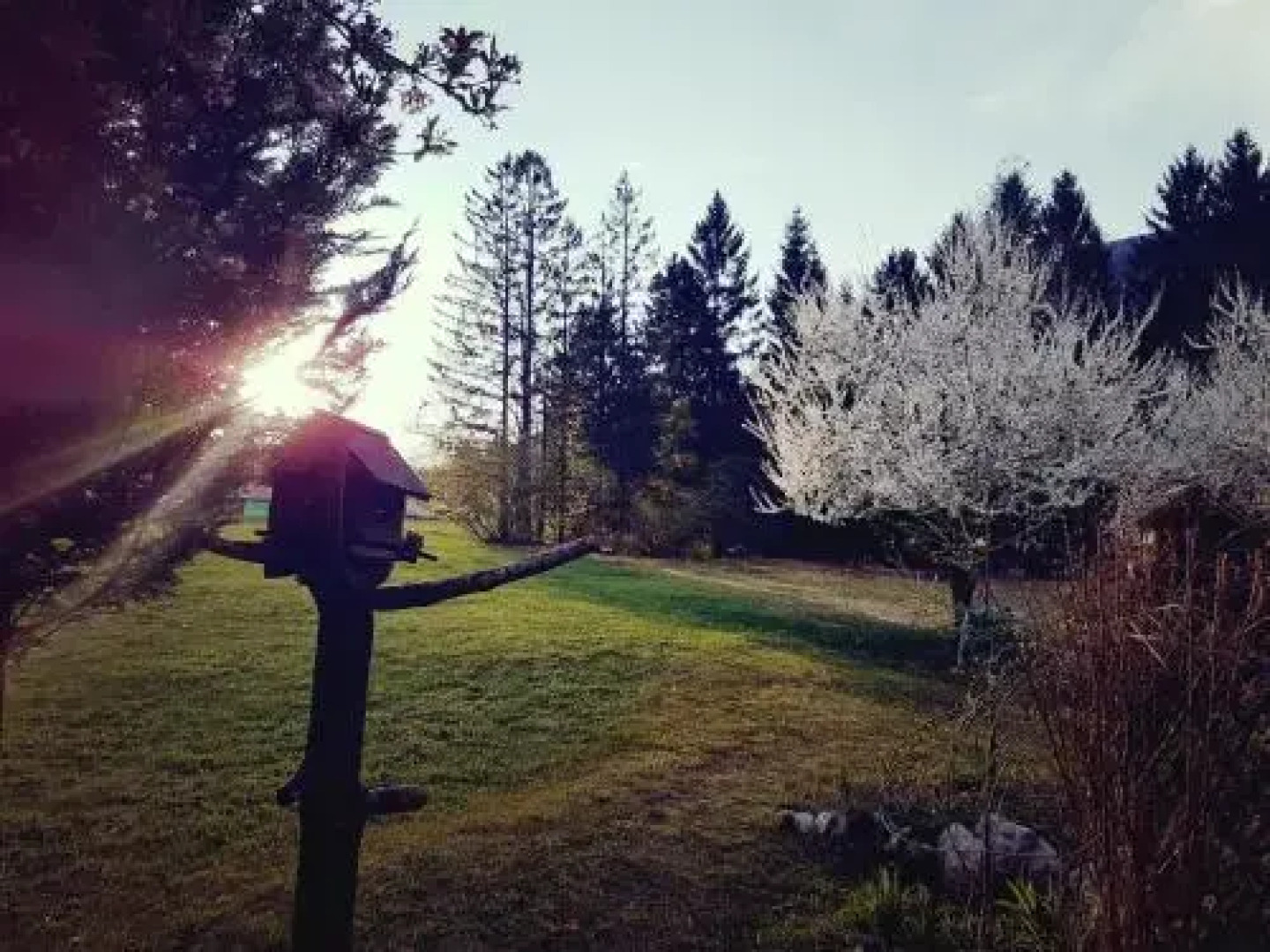 Apartments and Rooms Milena