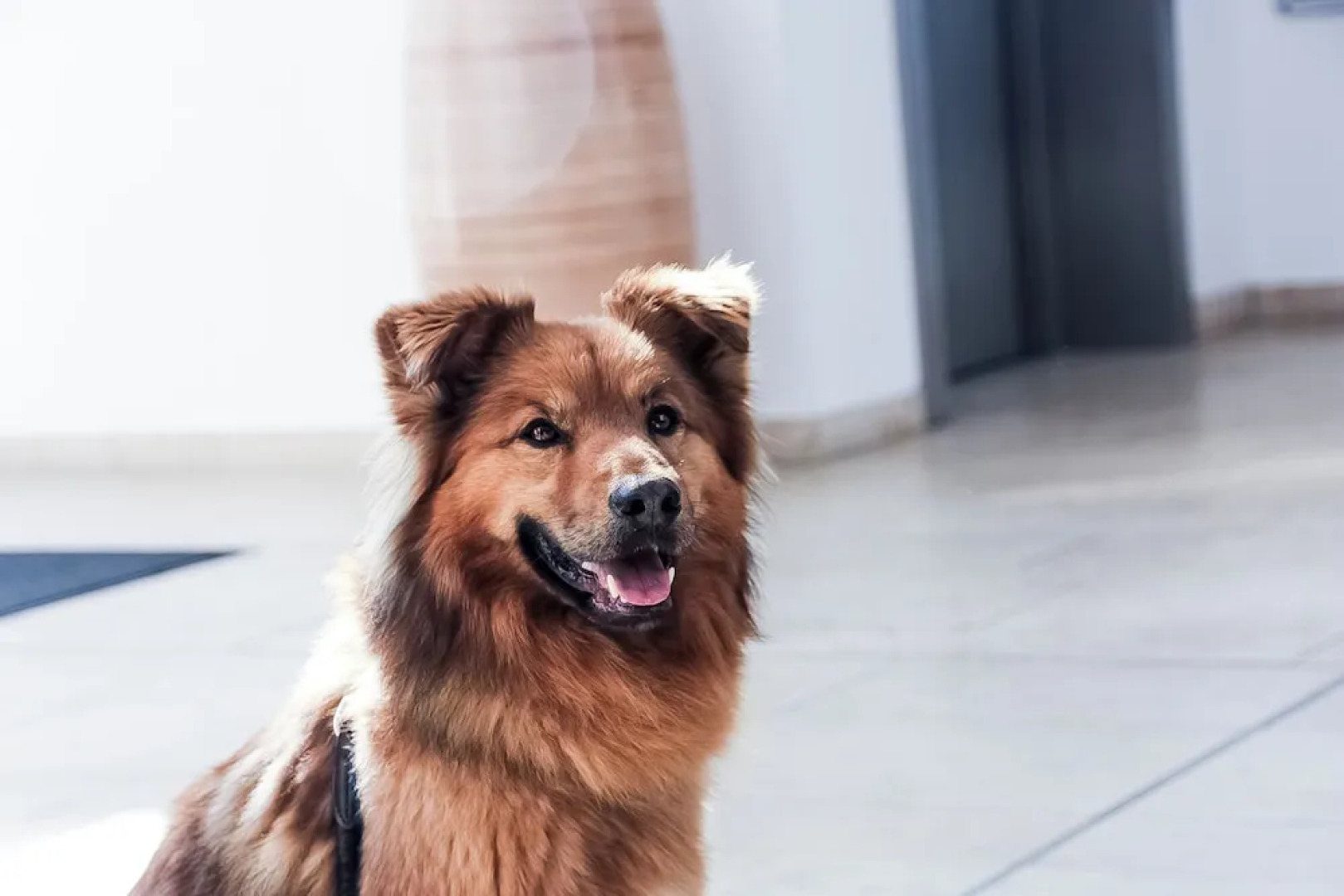 Carat Residenz-Apartmenthaus