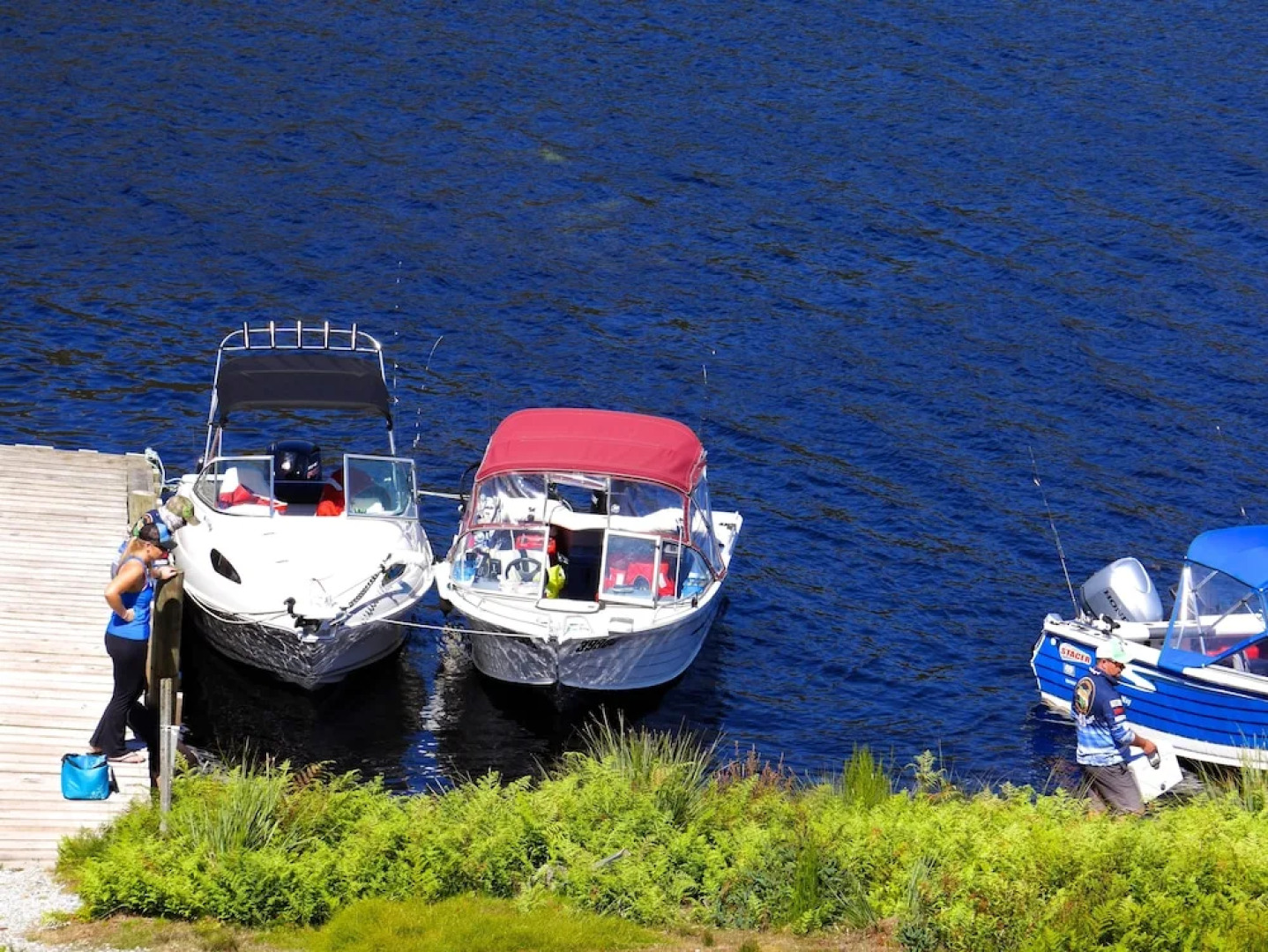 Pedder Wilderness Lodge