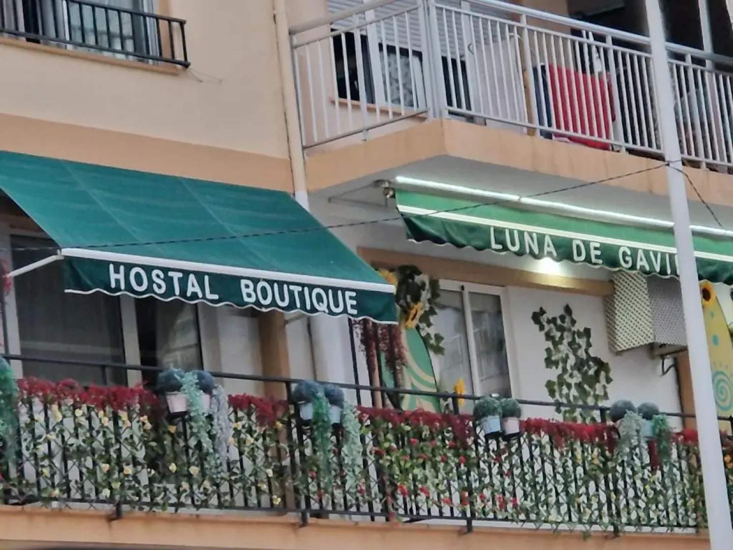 Hostal Boutique Luna De Gavin