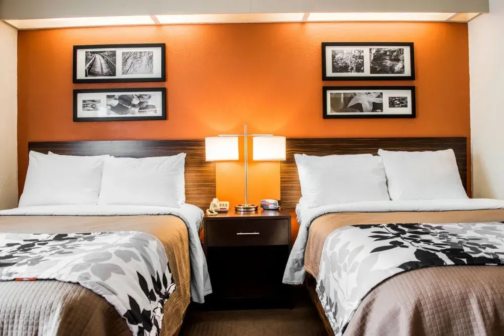 Quality Inn Bridgeport-Clarksburg