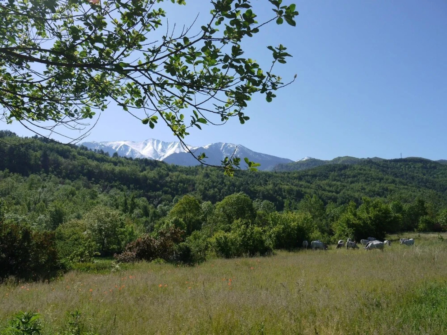 House With 2 Bedrooms in Fuilla, With Wonderful Mountain View, Pool Ac