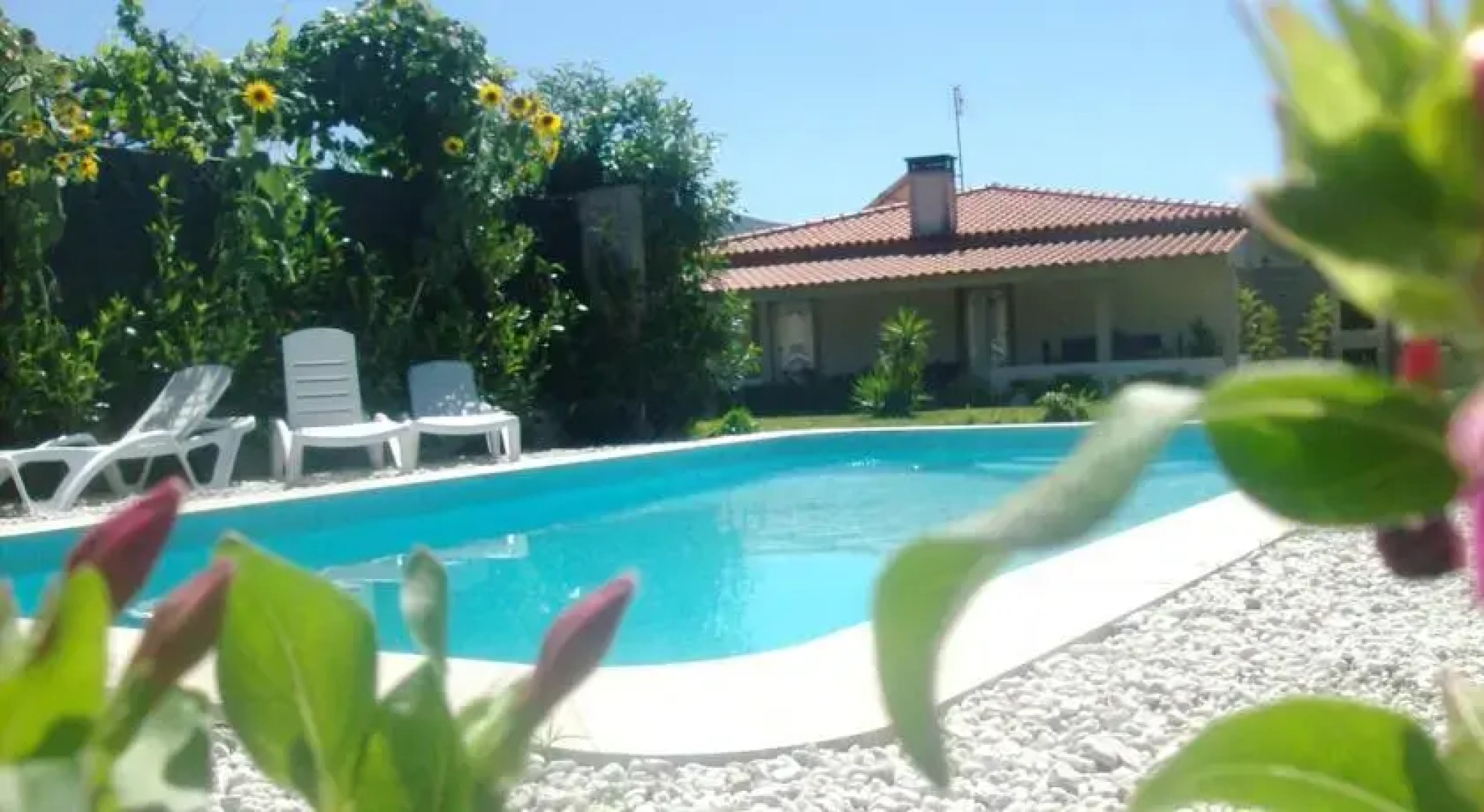 Casa Do Antigo Alambique