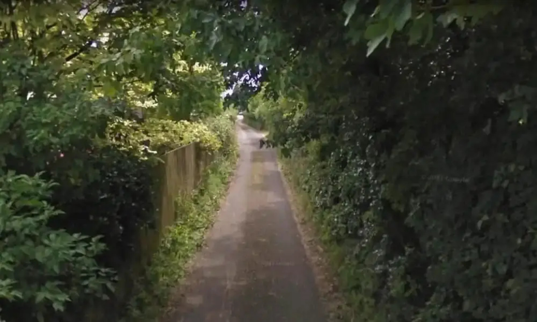 WILLOW RIDGE - a large country house with 3 rental rooms