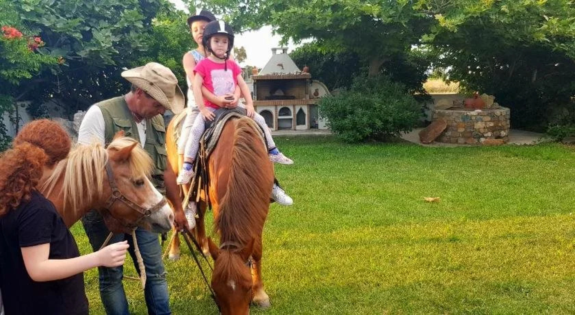 Anemonisia Skyrian Living