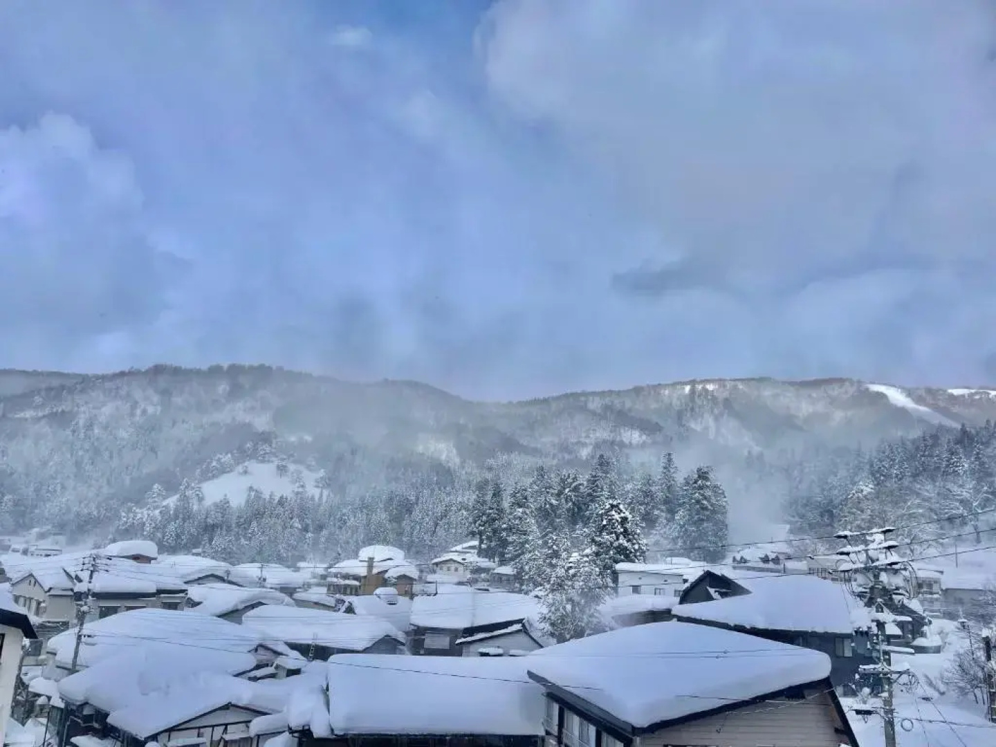 Bamboo-Hill Sasaokaso