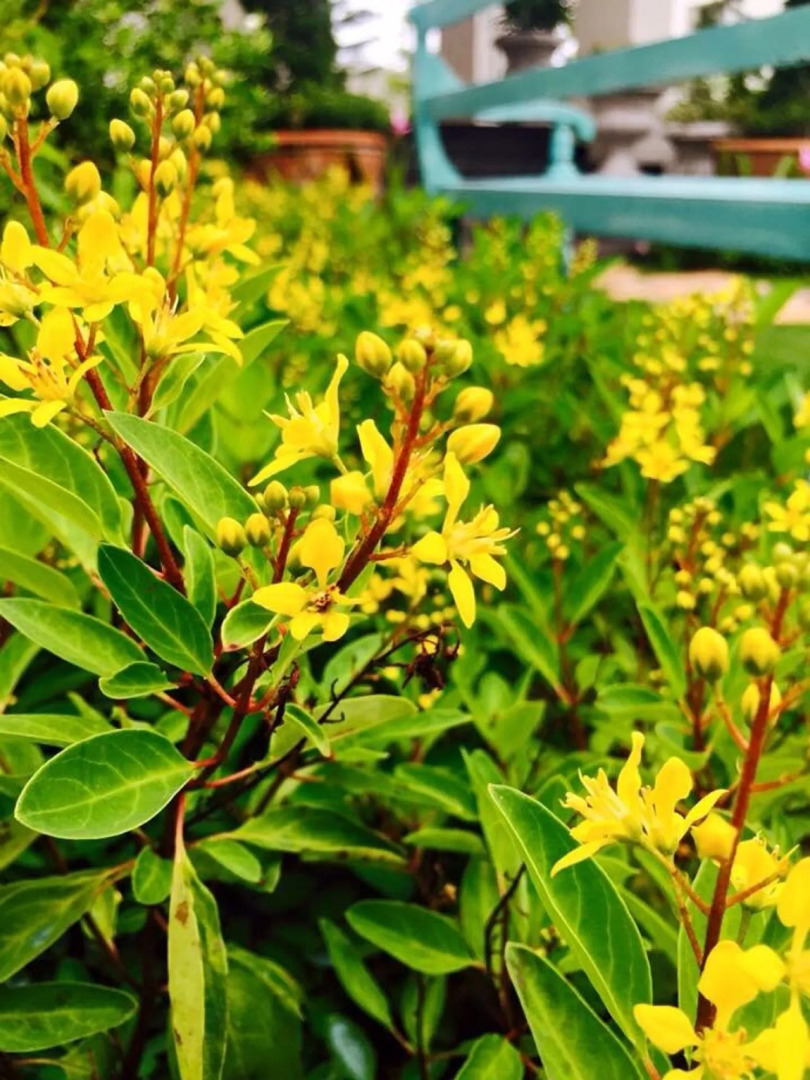 Koranaree Courtyard Boutique Hotel