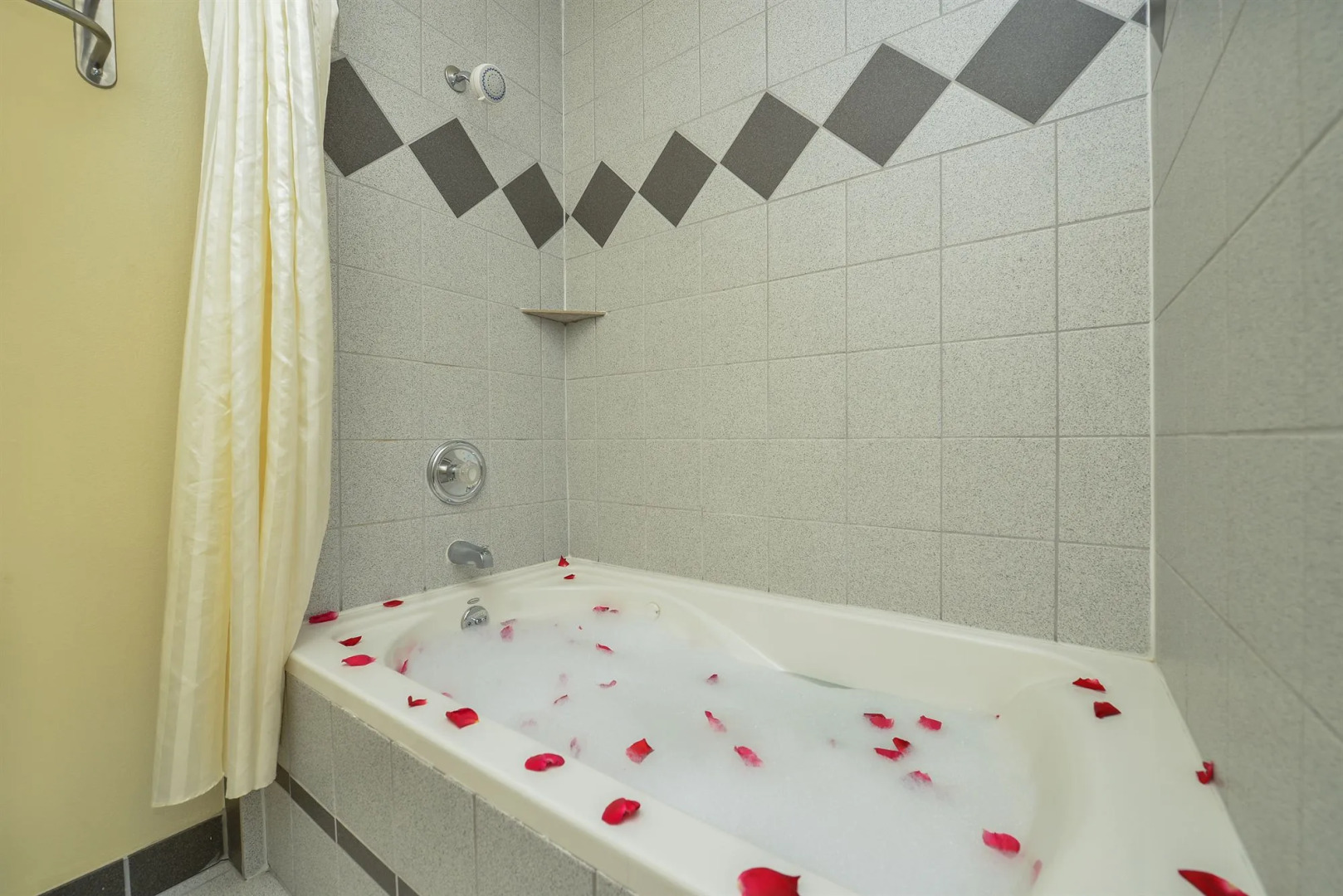 University Inn & Suites