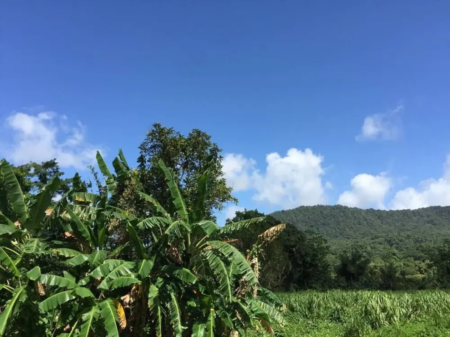 Remarkable 2-Bed House