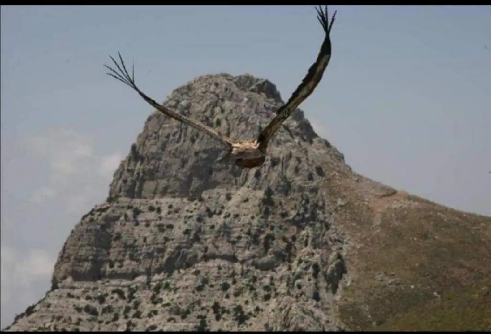 Wooden House at the Mountain-private