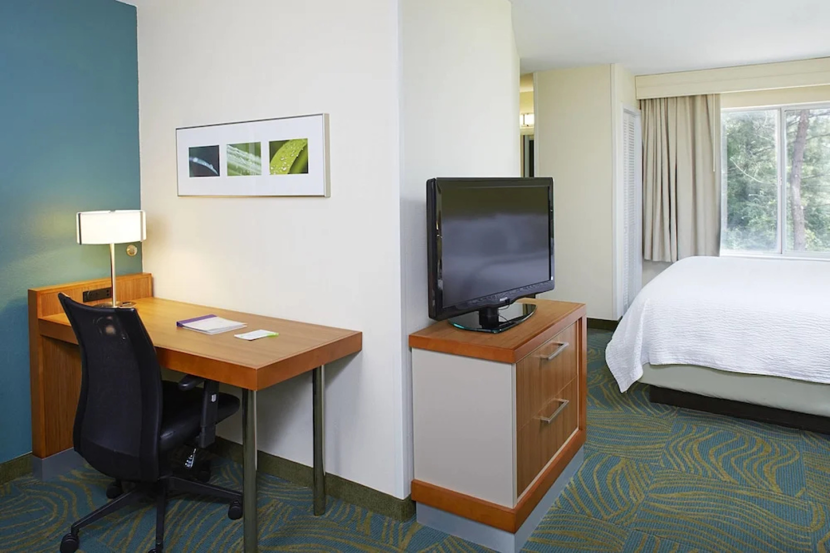 Springhill Suites Atlanta Six Flags