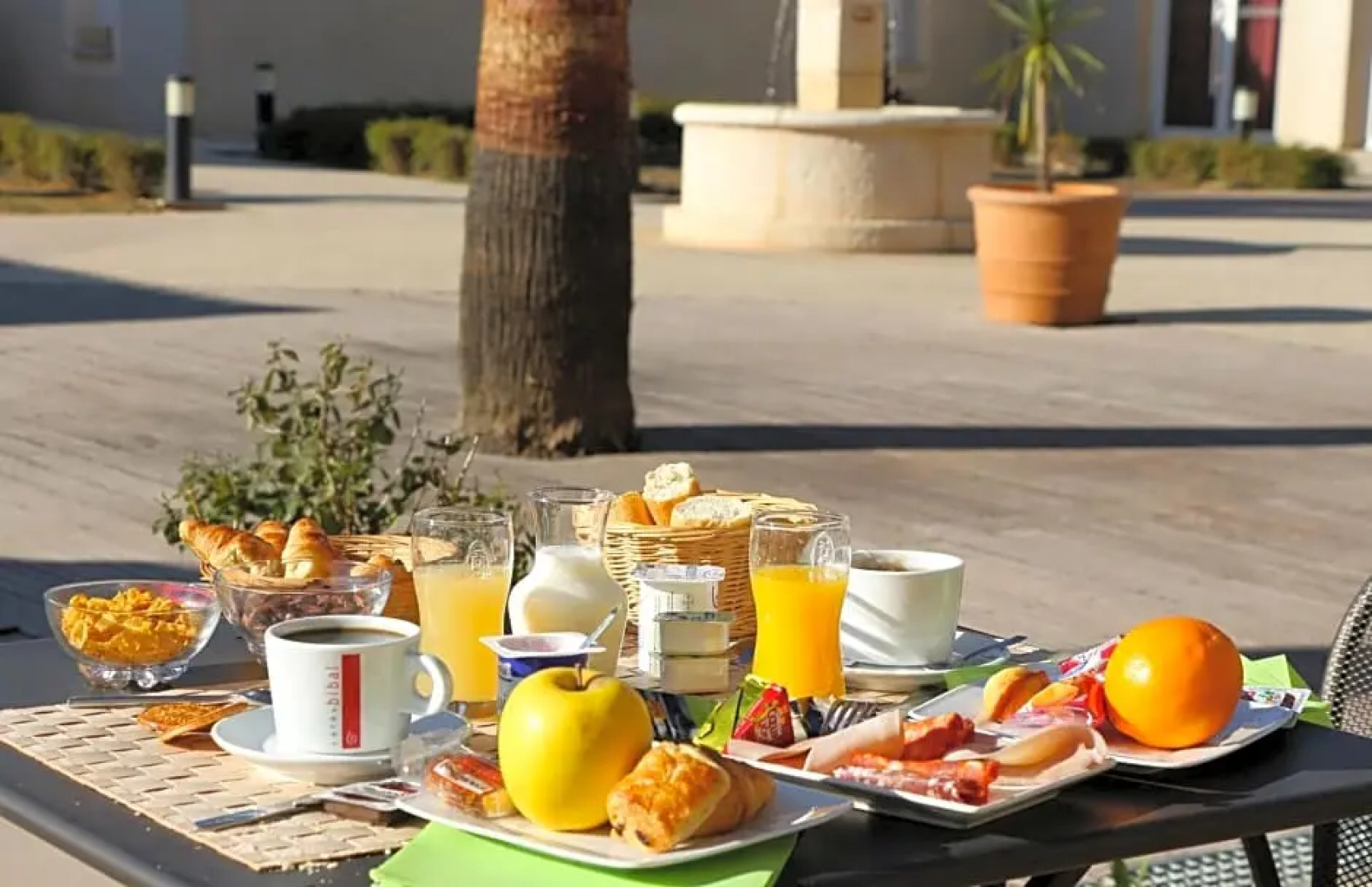 Les Jasses De Camargue