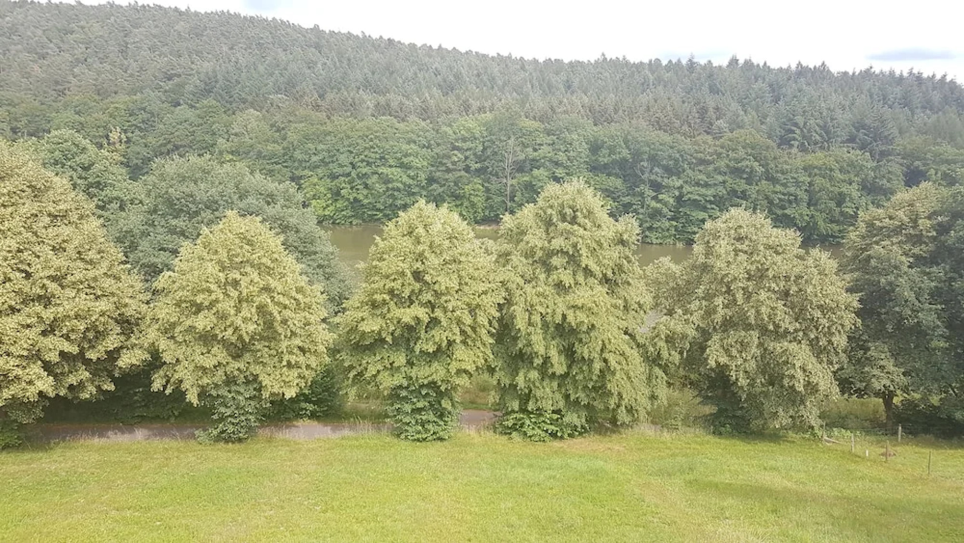 Landgasthof & Pension Zellmühle