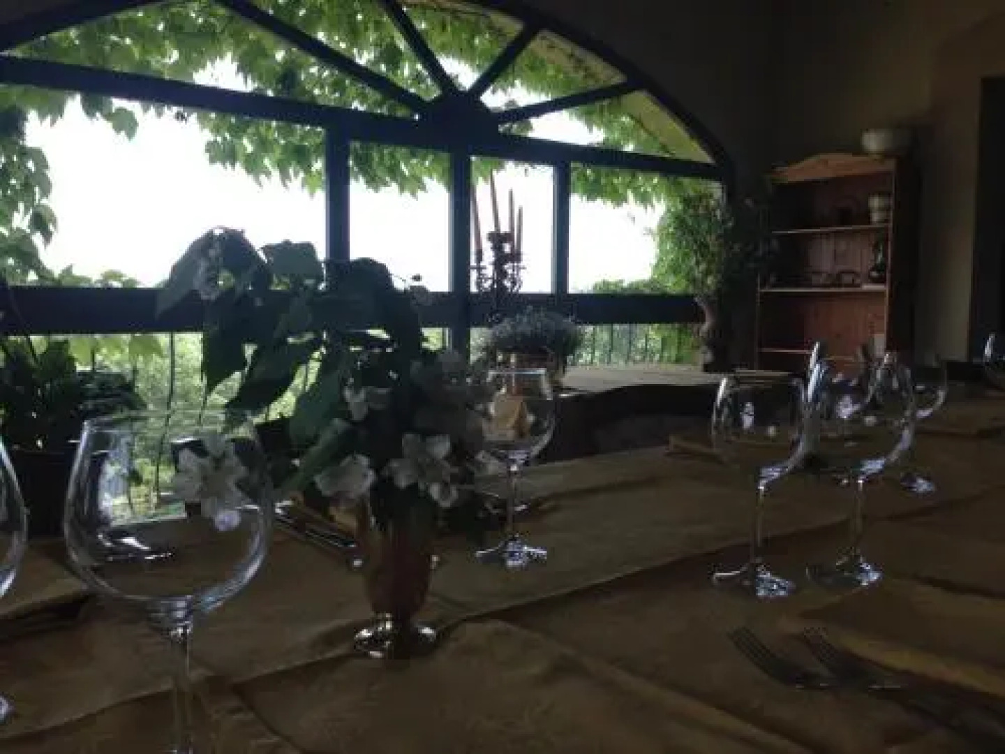 Carrera Della Regina