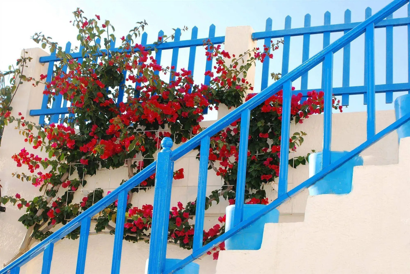 Nissia Kamares Hotel Apartments