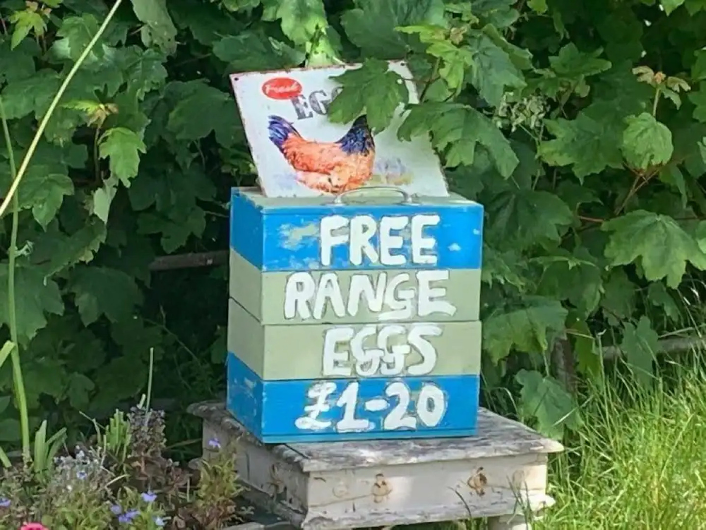 Deveron Valley Cottages and Log Cabins