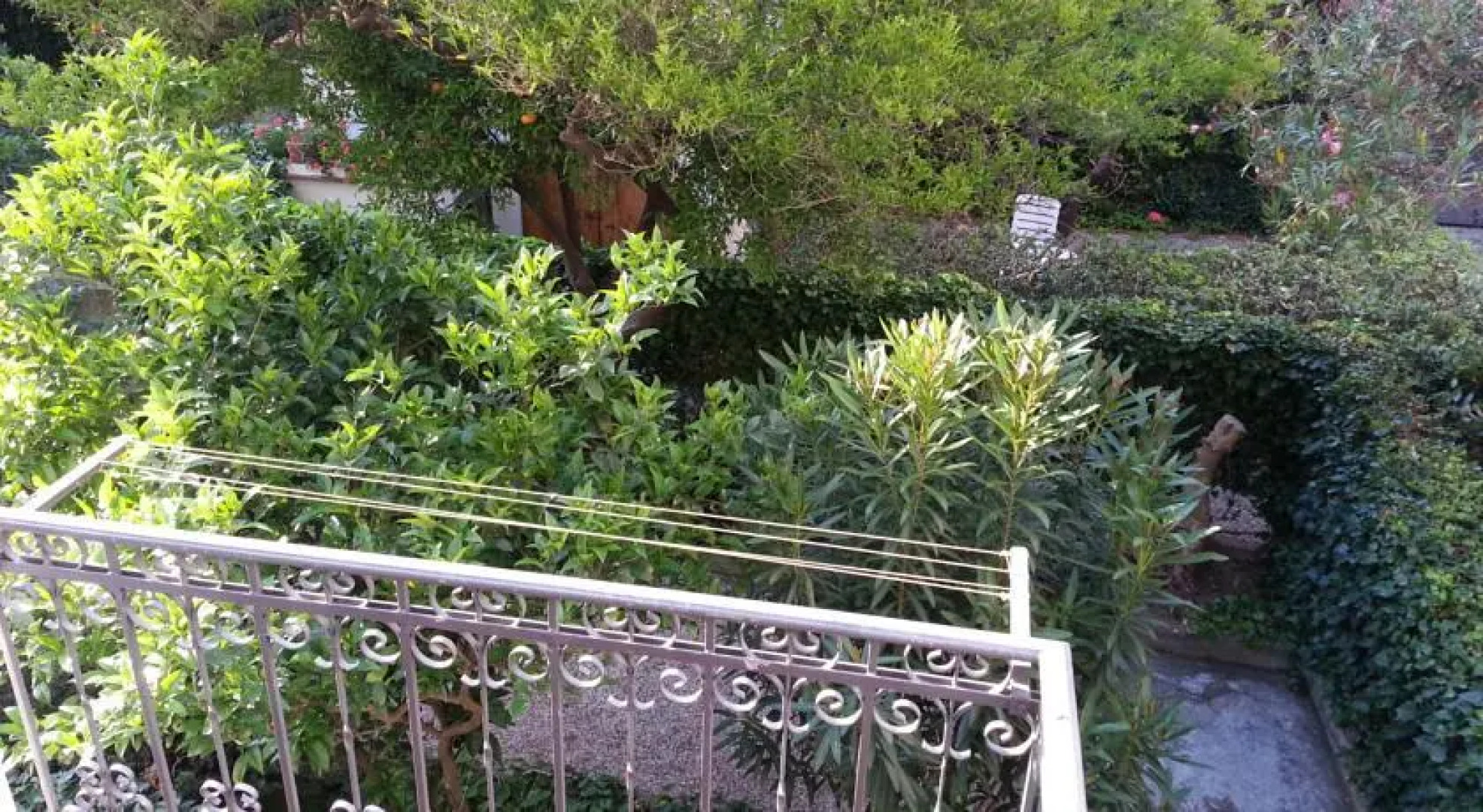 Isola dElba: appartamento 6 posti letto con giardino