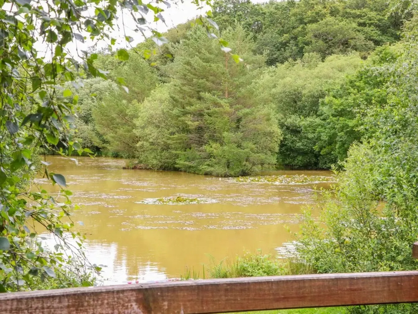 Beech Tree Kingslakes